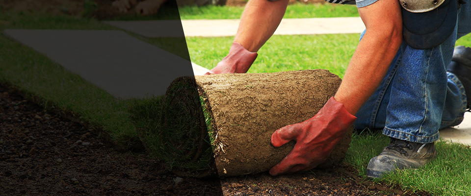 Forrest City Landscapers